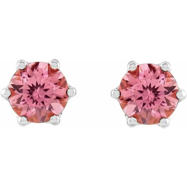 Round 6-Prong Accented Crown Stud Earrings Image 2 Milan's Jewelry Inc Sarasota, FL