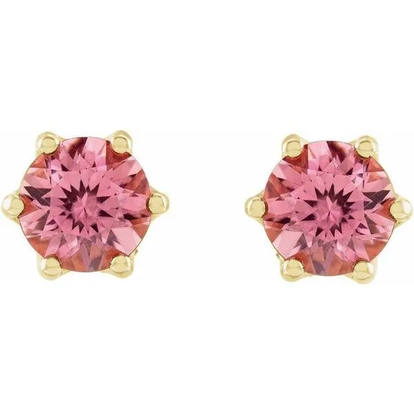 Round 6-Prong Accented Crown Stud Earrings Image 2 Long Jewelers Chesapeake, VA