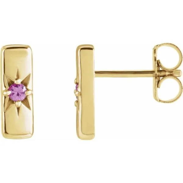 Accented Bar Earrings Holly's Jewelry Mountain Home, AR
