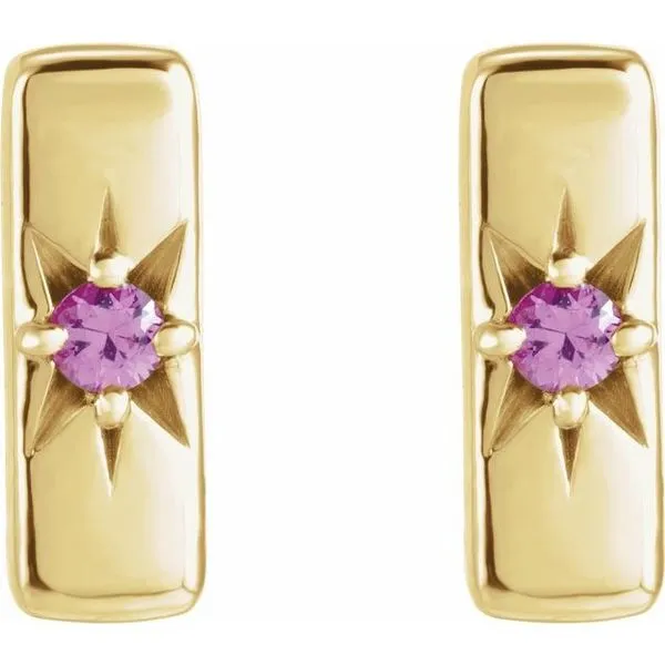 Accented Bar Earrings Image 2 Milan's Jewelry Inc Sarasota, FL