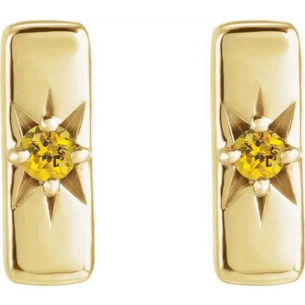 Accented Bar Earrings Image 2 Milan's Jewelry Inc Sarasota, FL