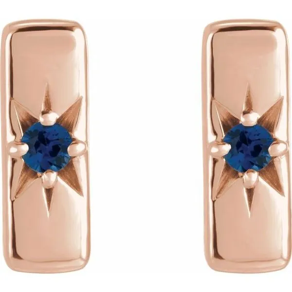 Accented Bar Earrings Image 2 Cherry Street Jewelers Tulsa, OK