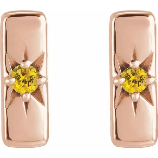 Accented Bar Earrings Image 2 Milan's Jewelry Inc Sarasota, FL