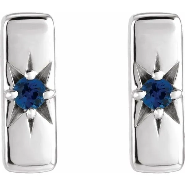 Accented Bar Earrings Image 2 James & Williams Jewelers Berwyn, IL