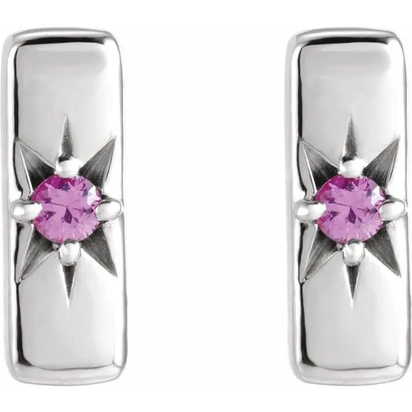 Accented Bar Earrings Image 2 Milan's Jewelry Inc Sarasota, FL