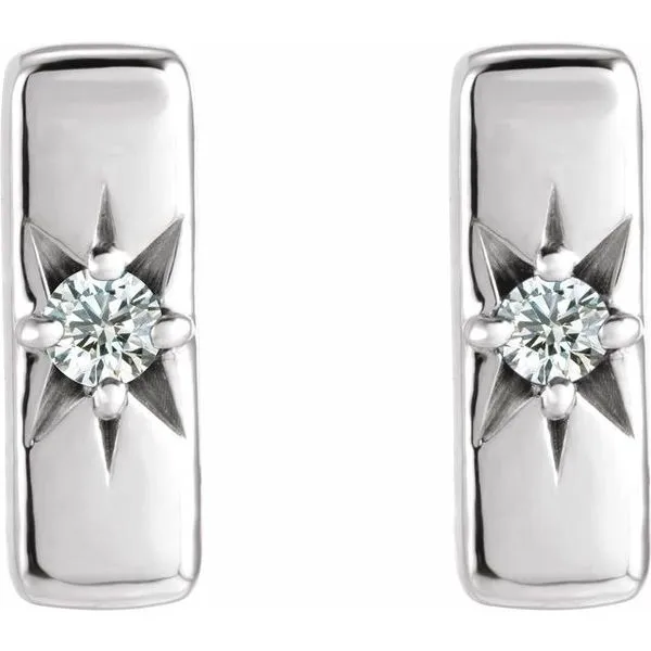 Accented Bar Earrings Image 2 James & Williams Jewelers Berwyn, IL