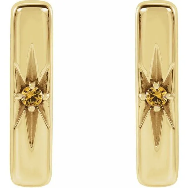 Accented Bar Earrings Image 2 J. Meredith Jewelers Delafield, WI