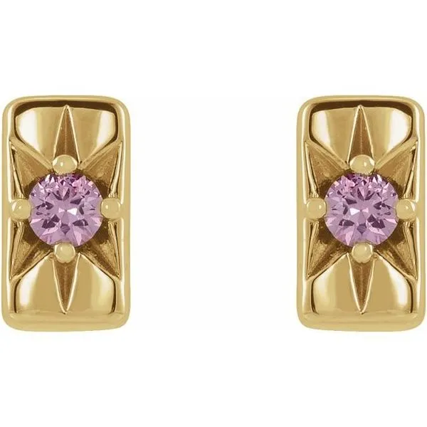 Accented Bar Earrings Image 2 Milan's Jewelry Inc Sarasota, FL