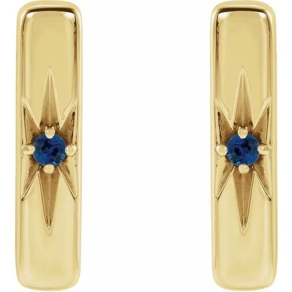 Accented Bar Earrings Image 2 Milan's Jewelry Inc Sarasota, FL