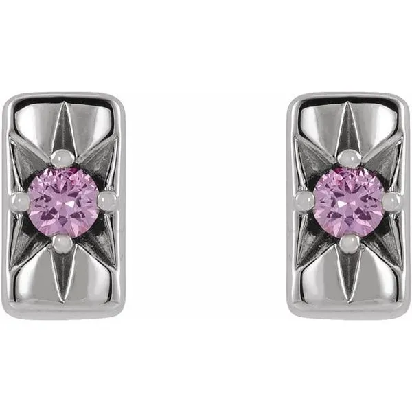 Accented Bar Earrings Image 2 J. Meredith Jewelers Delafield, WI