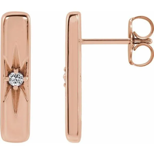 Accented Bar Earrings Rick's Jewelers California, MD