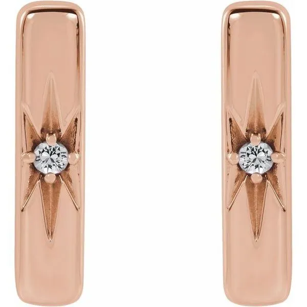 Accented Bar Earrings Image 2 Rick's Jewelers California, MD