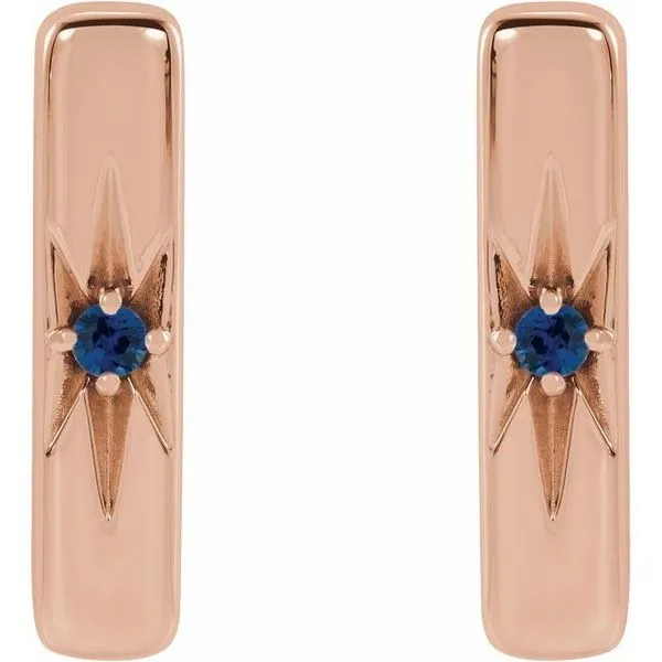 Accented Bar Earrings Image 2 Milan's Jewelry Inc Sarasota, FL