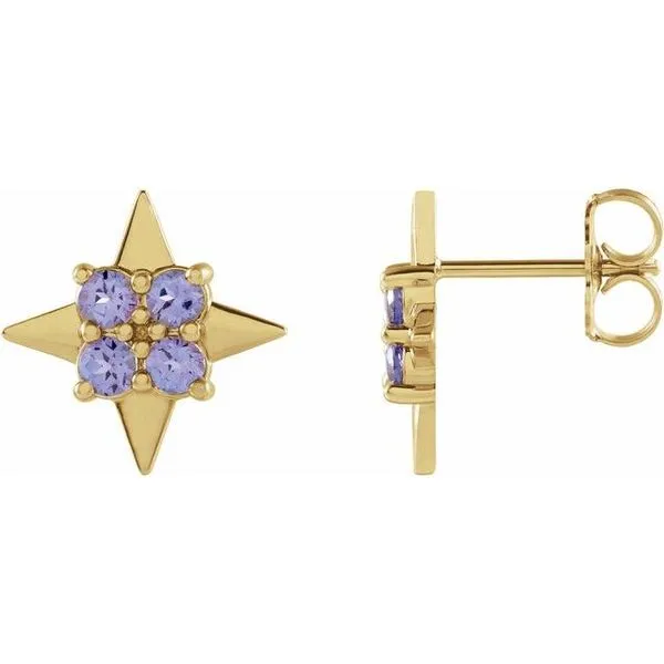 Star Earrings Hopman Jewelers Elkhart, IN