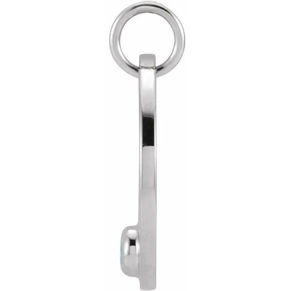 Zodiac Disc Pendant Image 2 Long Jewelers Chesapeake, VA