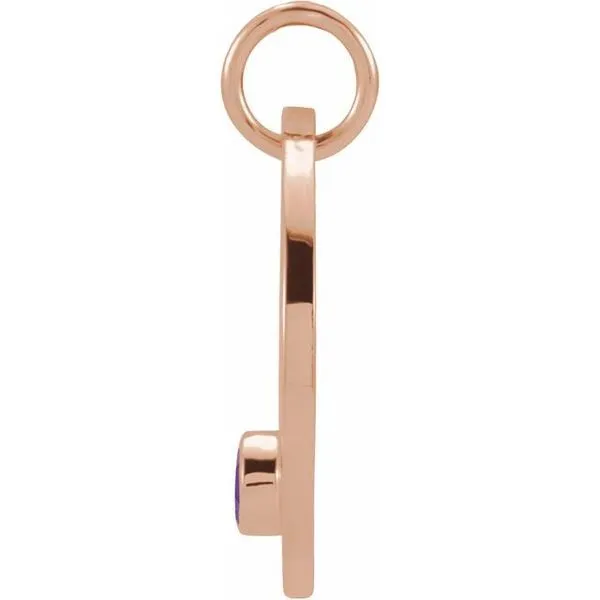 Zodiac Disc Pendant Image 2 Michael's Jewelry North Wilkesboro, NC