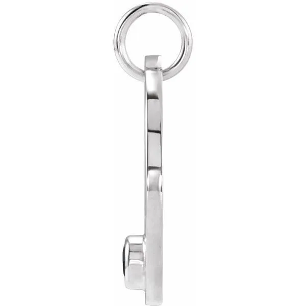 Zodiac Disc Pendant Image 2 Hopman Jewelers Elkhart, IN