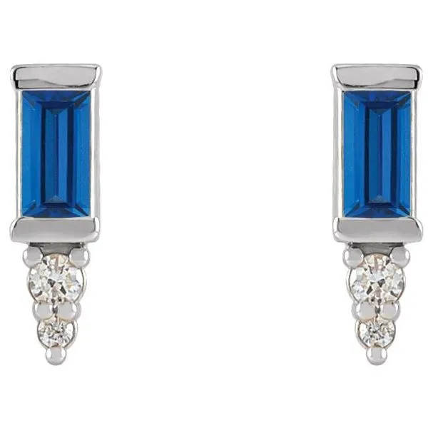 Accented Bar Earrings Image 2 Milan's Jewelry Inc Sarasota, FL