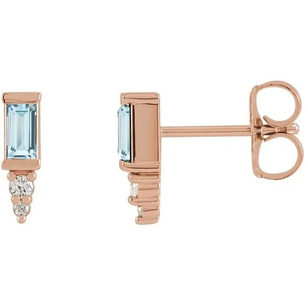 Accented Bar Earrings Shipley's Fine Jewelry Hampstead, MD