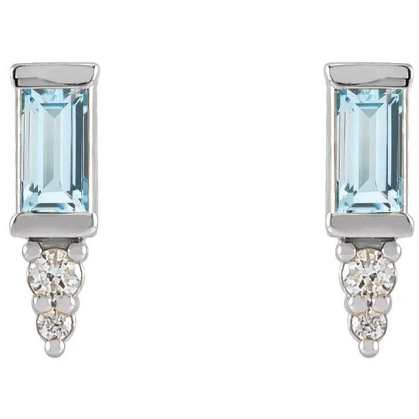 Accented Bar Earrings Image 2 Arlene's Fine Jewelry Vidalia, GA