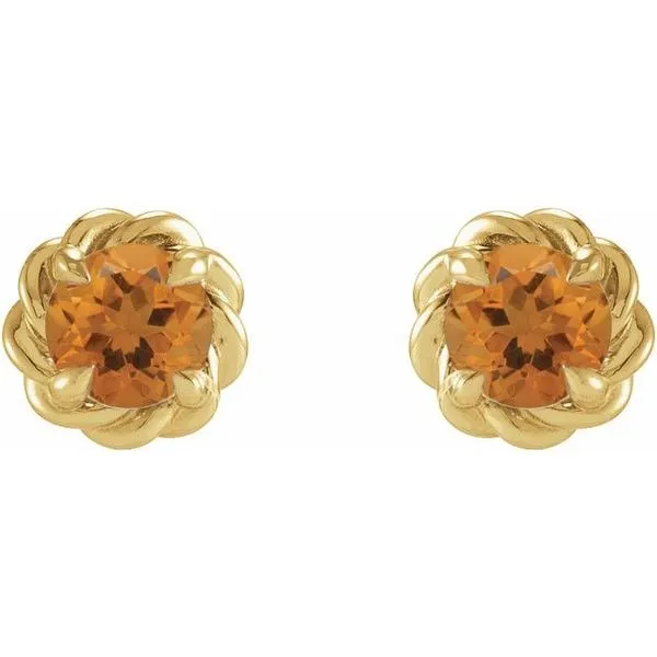 Round 4-Prong Claw Stud Earrings Image 2 Hopman Jewelers Elkhart, IN