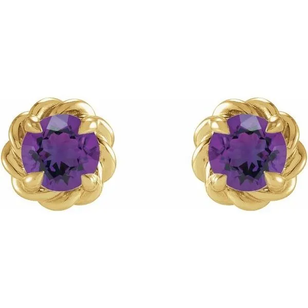 Round 4-Prong Claw Stud Earrings Image 2 Michael's Jewelry North Wilkesboro, NC