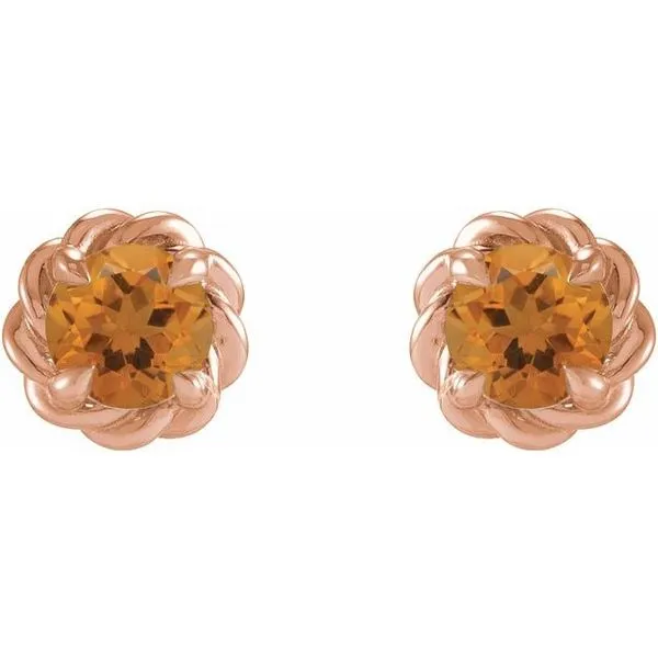 Round 4-Prong Claw Stud Earrings Image 2 James & Williams Jewelers Berwyn, IL