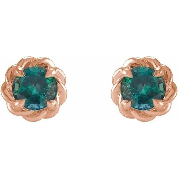 Round 4-Prong Claw Stud Earrings Image 2 Hart's Jewelers Grants Pass, OR