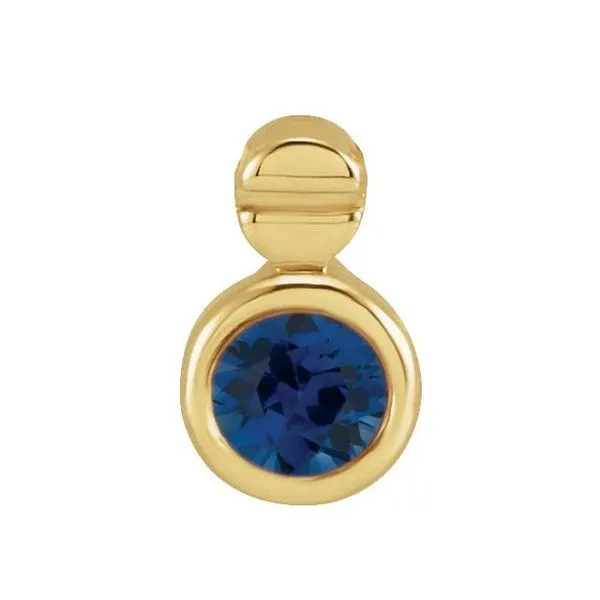 Accented Necklace or Slide Pendant J. Meredith Jewelers Delafield, WI