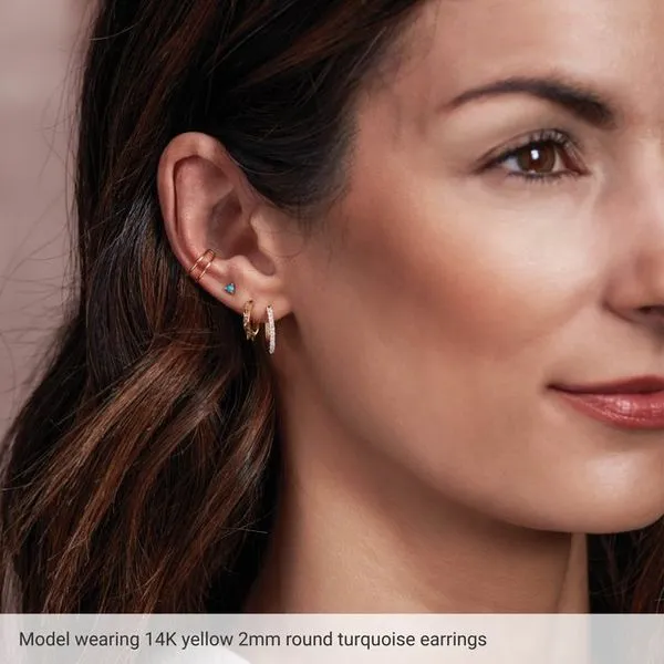 Round 3-Prong Rose-Cut Stud Earrings Image 3 Diny's Jewelers Middleton, WI