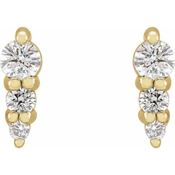 Graduated Bar Earrings Image 2 Michael's Jewelry North Wilkesboro, NC