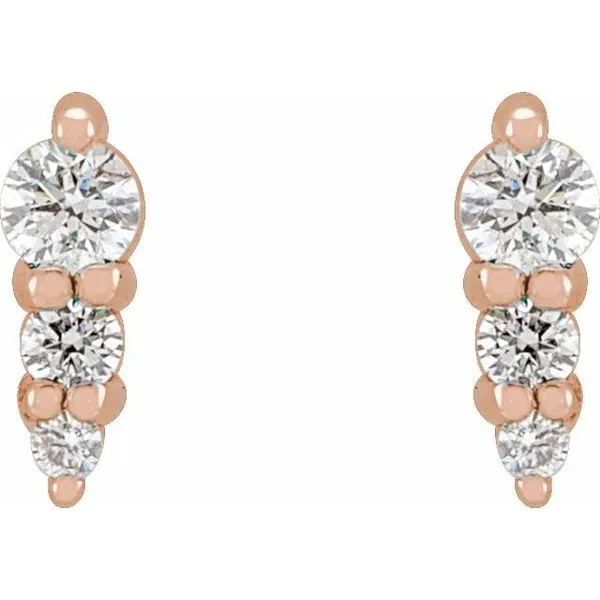 Graduated Bar Earrings Image 2 Hopman Jewelers Elkhart, IN