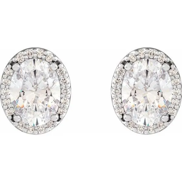 Oval 4-Prong Halo-Style Low Stud Earring Image 2 Milan's Jewelry Inc Sarasota, FL