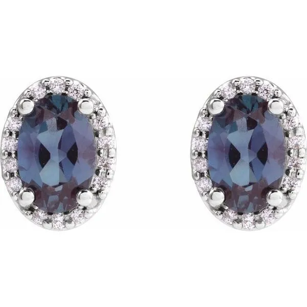 Oval 4-Prong Halo-Style Low Stud Earring Image 2 Milan's Jewelry Inc Sarasota, FL