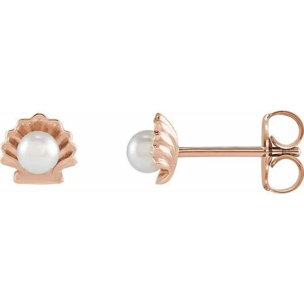 Pearl Shell Earrings Henry B. Ball Jewelers Canton, OH