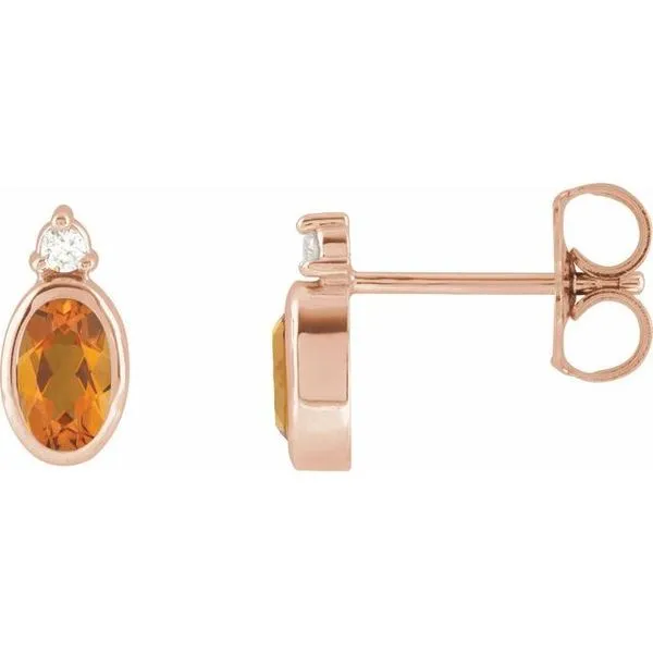 Accented Bezel-Set Earrings Austin's Fine Diamonds & Jewelry Lyndhurst, NJ