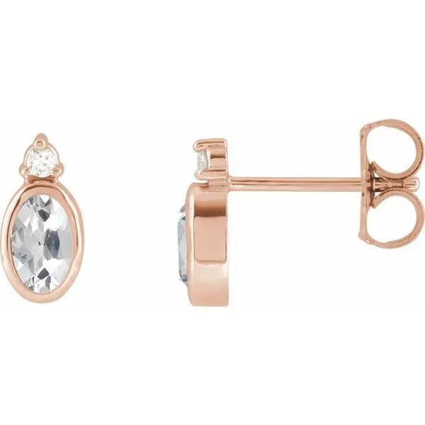 Accented Bezel-Set Earrings Paul James Jewelers Angels Camp, CA