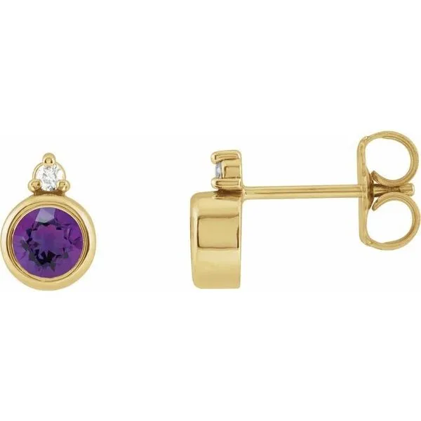 Accented Bezel-Set Earrings Diny's Jewelers Middleton, WI