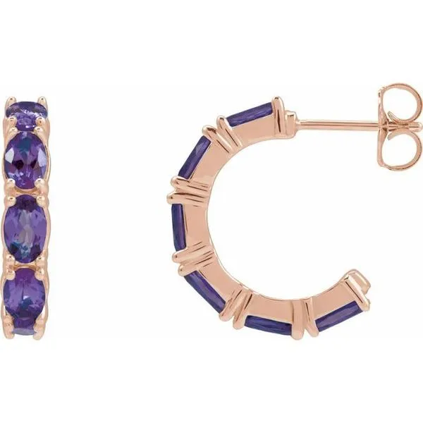 Accented Hoop Earrings Smith Jewelers Franklin, VA