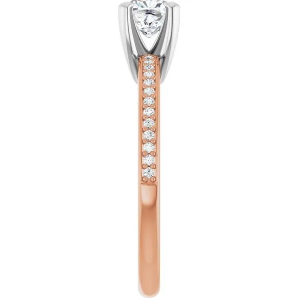 Solitaire Engagement Ring Image 4 Shipley's Fine Jewelry Hampstead, MD