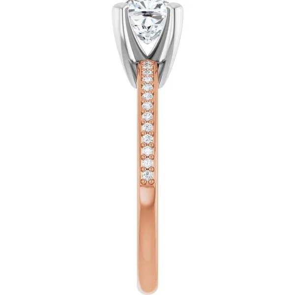 Solitaire Engagement Ring Image 4 JF Jones Jewelers Rochester, NY