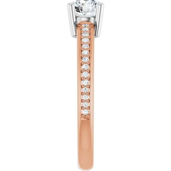 Solitaire Engagement Ring Image 4 Golden Sails Jewelers, Inc. Saint Petersburg, FL