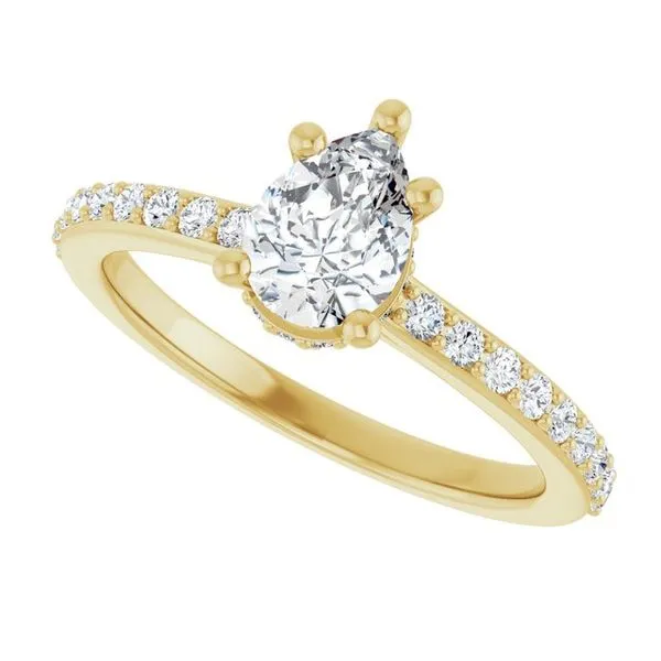 Hidden Halo-Style Engagement Ring Image 5 Don's Jewelry & Design Washington, IA