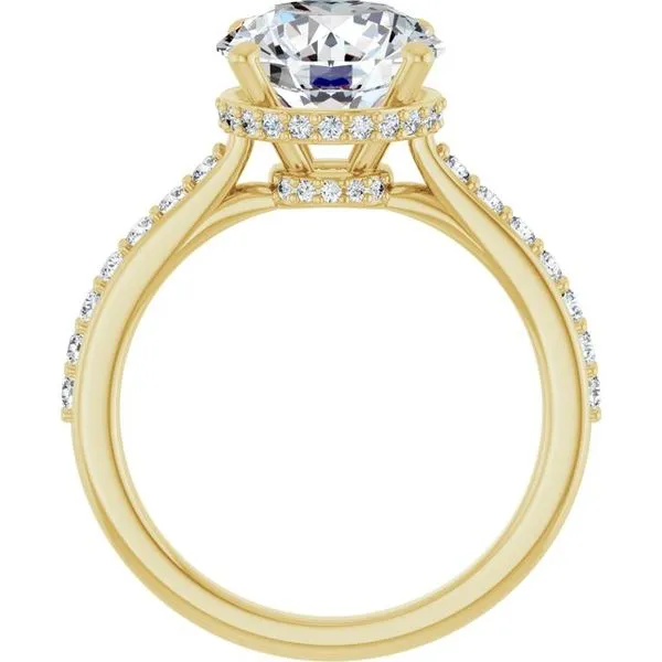 Hidden Halo-Style Engagement Ring Image 2 JF Jones Jewelers Rochester, NY
