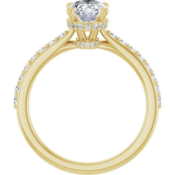 Hidden Halo-Style Engagement Ring Image 2 J. Thomas Jewelers Rochester Hills, MI