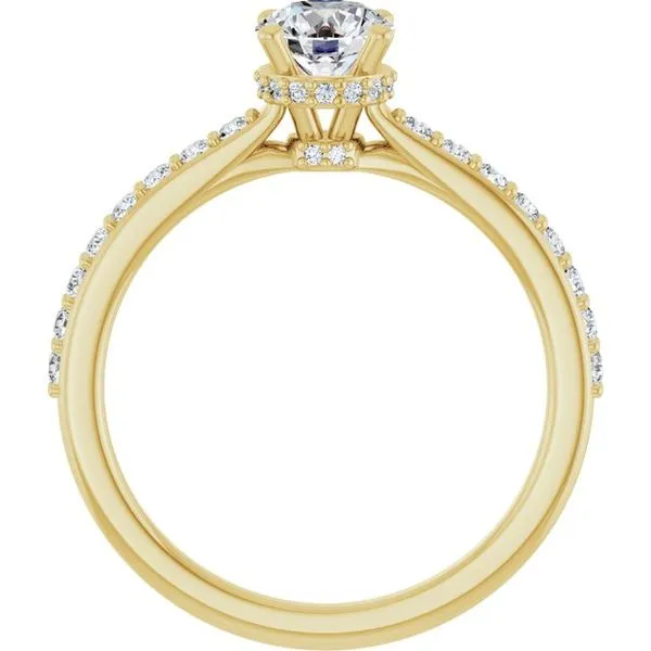 Hidden Halo-Style Engagement Ring Image 2 Don's Jewelry & Design Washington, IA