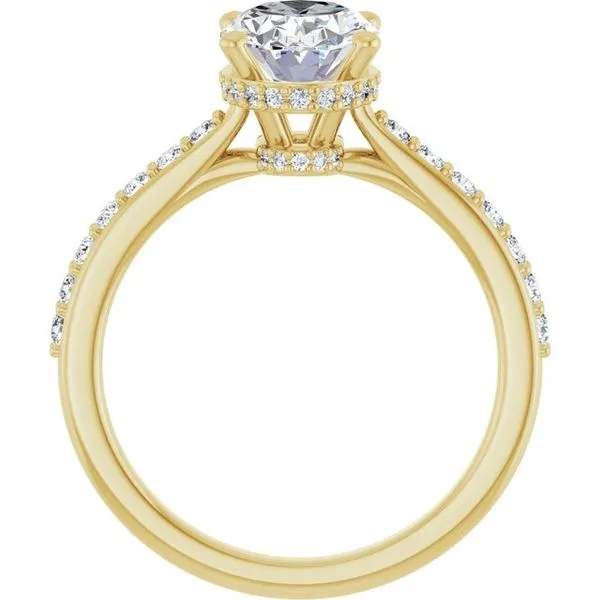 Hidden Halo-Style Engagement Ring Image 2 J. Thomas Jewelers Rochester Hills, MI