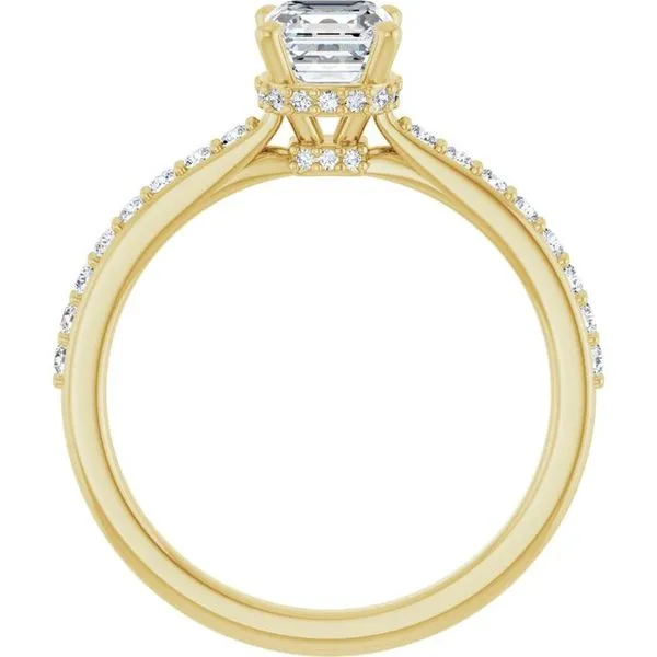 Hidden Halo-Style Engagement Ring Image 2 Jimmy Smith Jewelers Decatur, AL