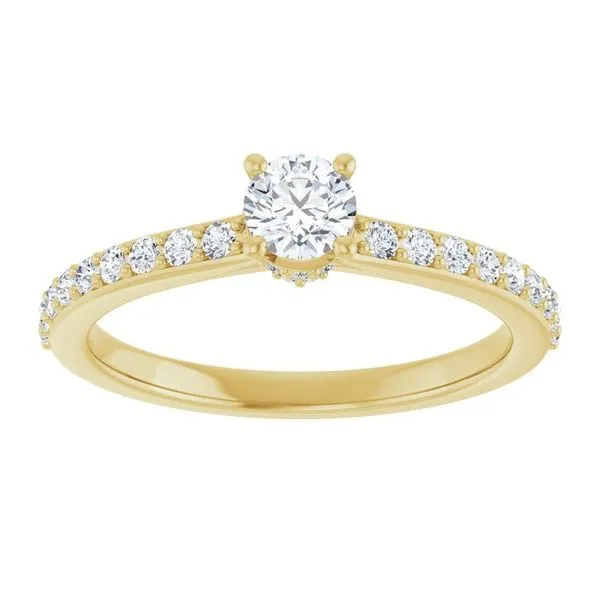 Hidden Halo-Style Engagement Ring Image 3 Don's Jewelry & Design Washington, IA