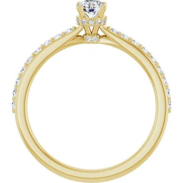 Hidden Halo-Style Engagement Ring Image 2 JF Jones Jewelers Rochester, NY